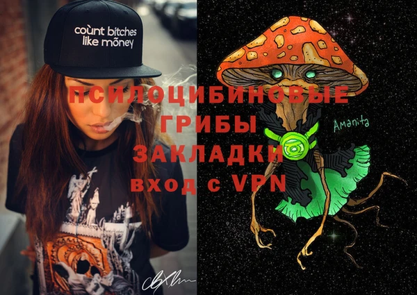 сатива Михайловка