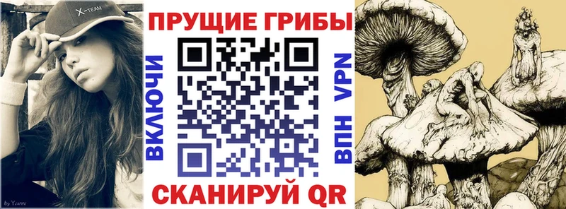 Галлюциногенные грибы прущие грибы  Чердынь 